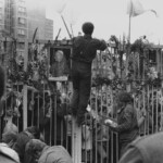 profimedia 0677121069