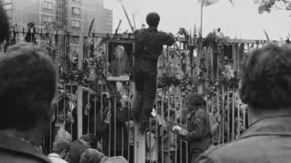 profimedia 0677121069