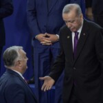 profimedia 0931547197