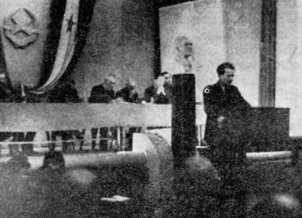 Jesmo li jedina zemlja koja ignoriše sopstveni oblik vladavine 2 profimedia 0983552838