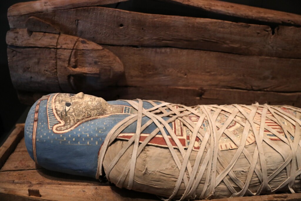 Najveći na svetu 15 profimedia 1010053798