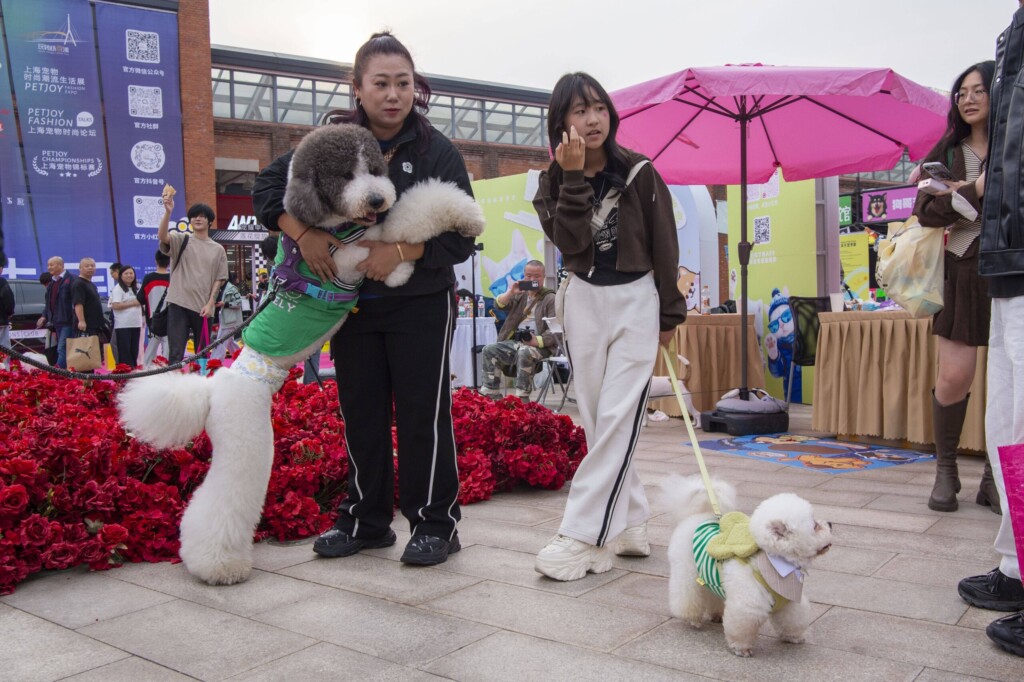 profimedia 1049800408