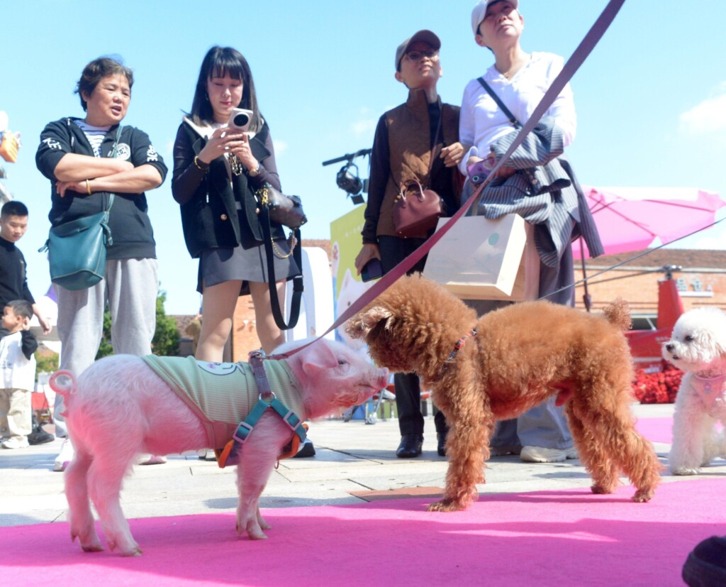 profimedia 1050054910