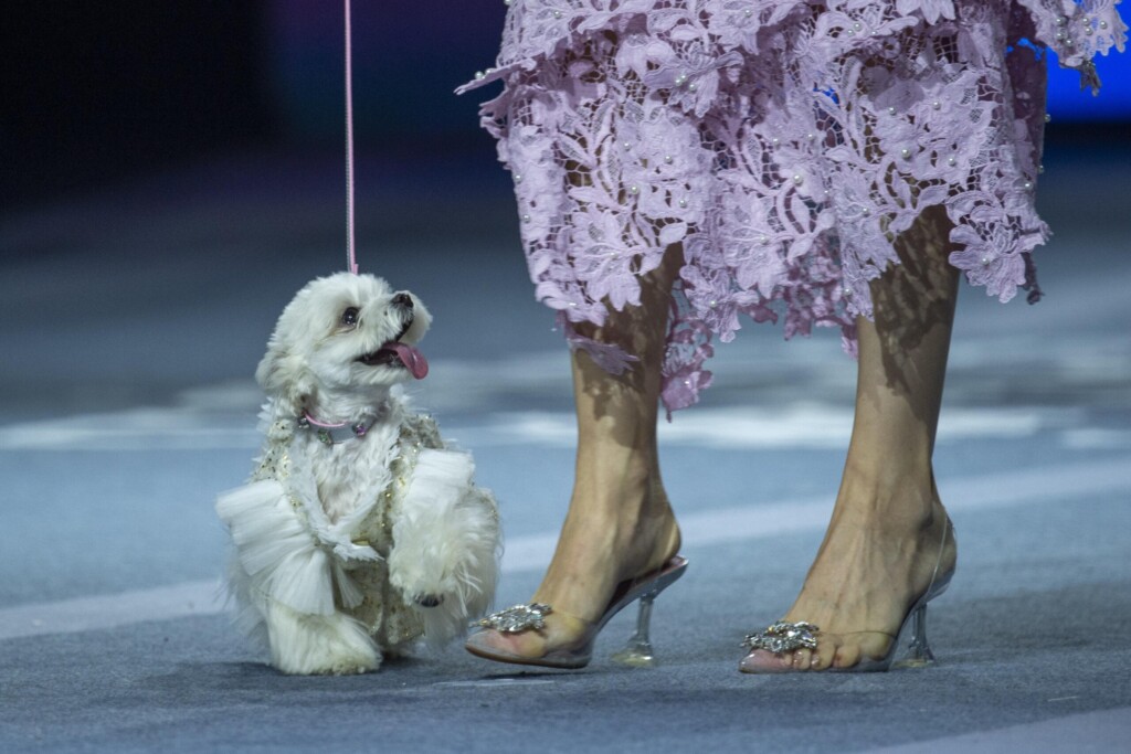 profimedia 1050249961