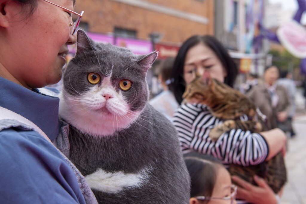 profimedia 1050250978