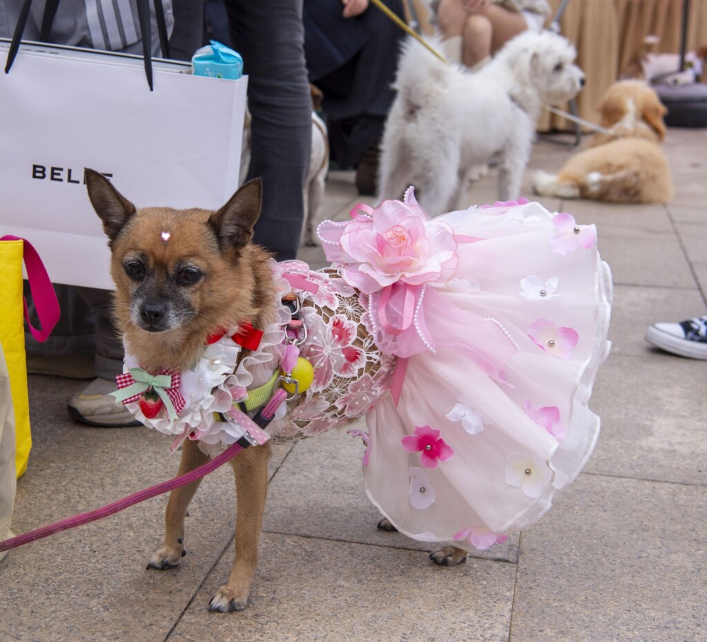 profimedia 1050250988