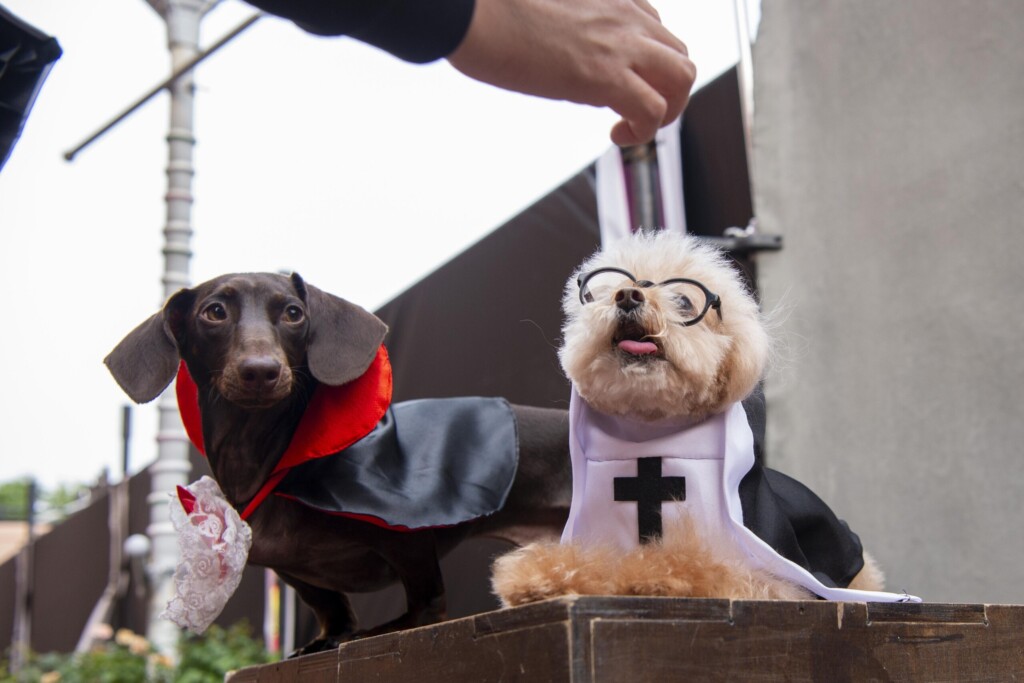 profimedia 1050251110