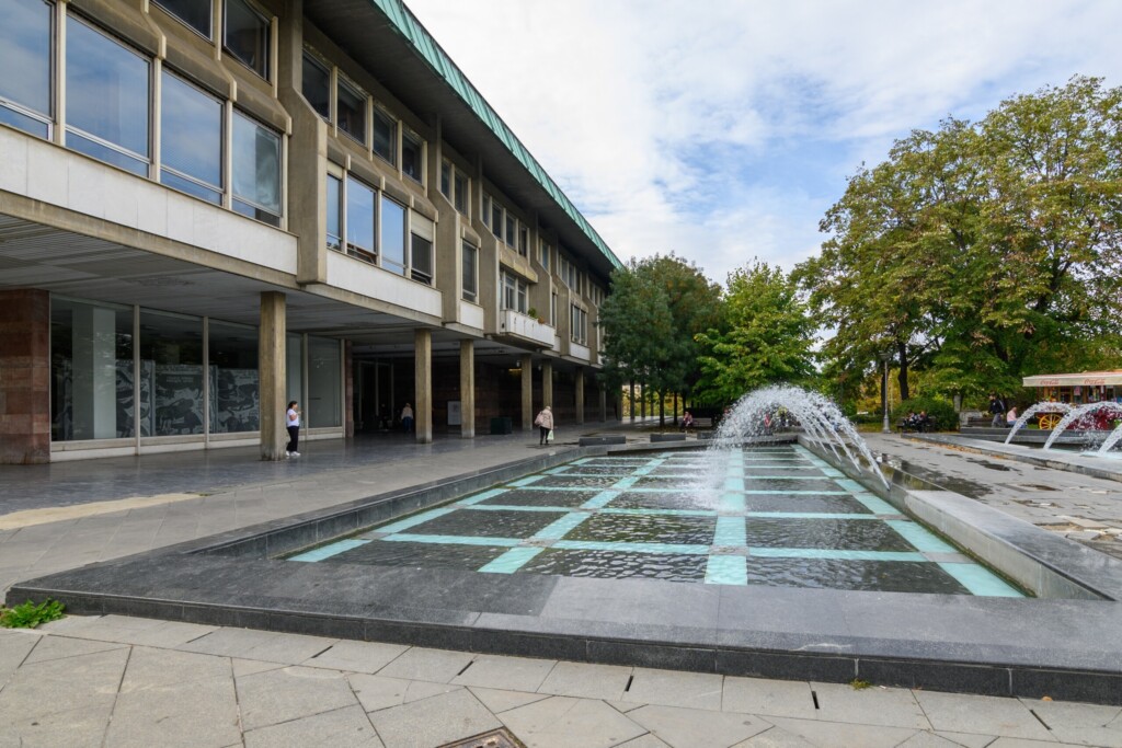 Kada struka postane nevidljiva, institucije su suvišne 7 shutterstock 2526525657