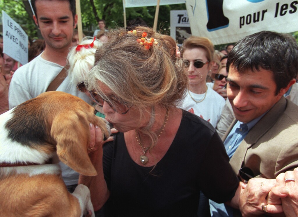 1692629999 profimedia 0068763090