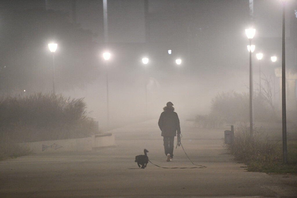 1731955619 1731955182920