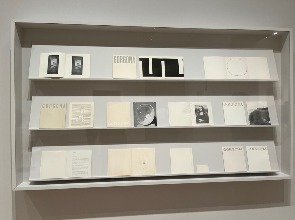 Casopisi Gorgone