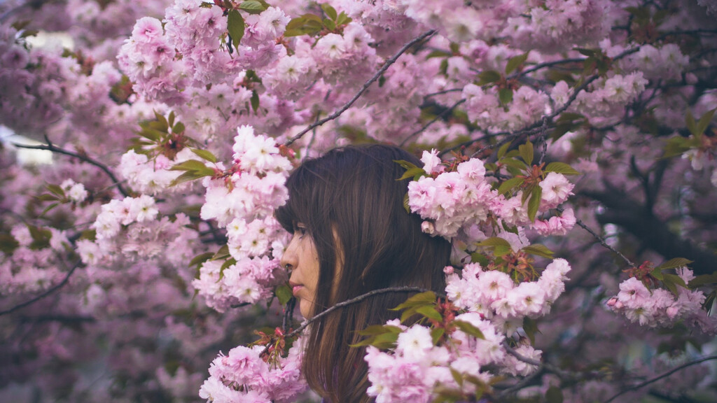 Nacionalizam je dobar alat za kontrolu 4 Kukla PeterPerunovic copy