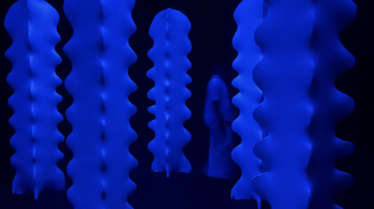 Ljerka Sibenik Instalacija