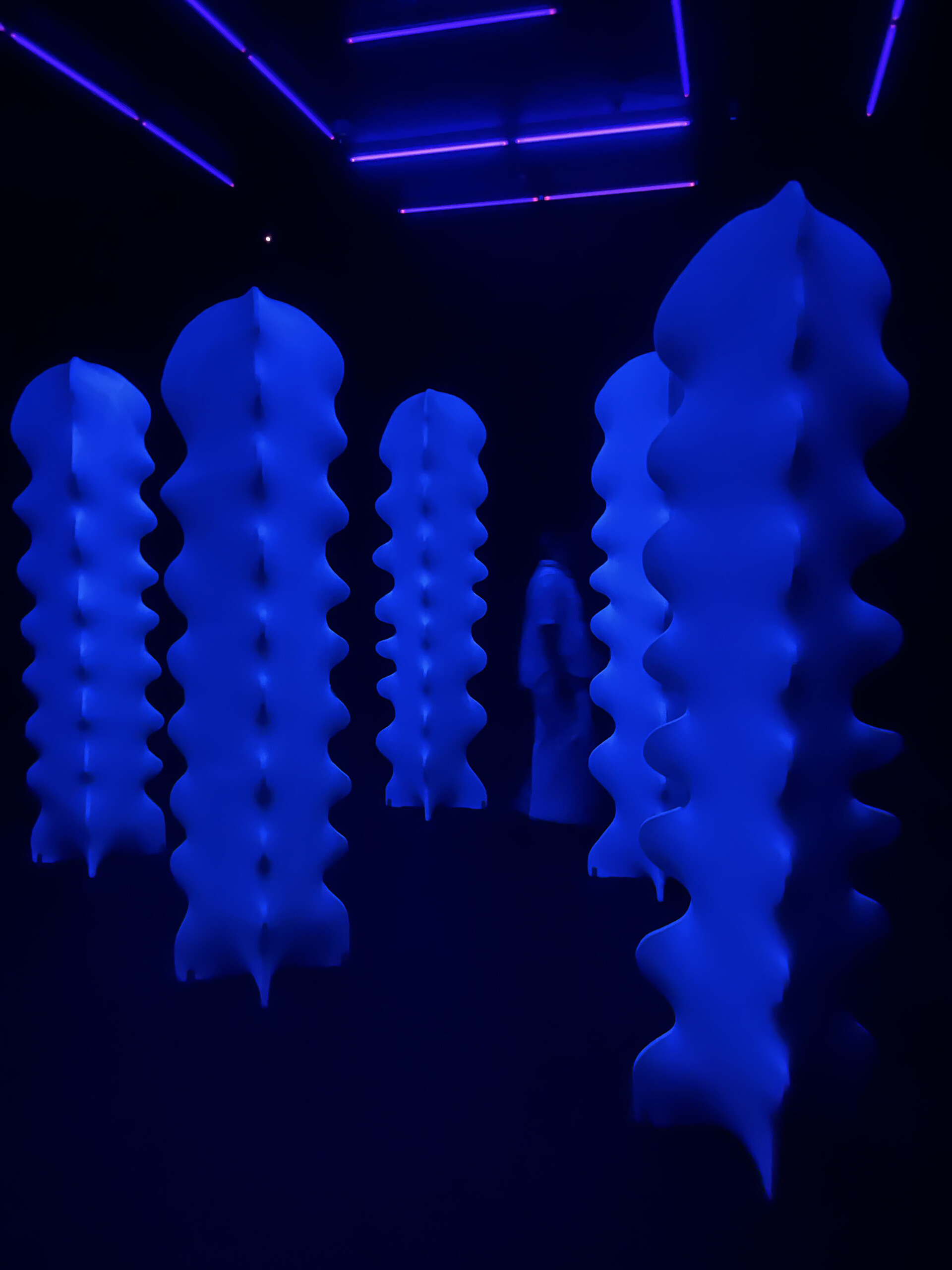 Ljerka Sibenik Instalacija