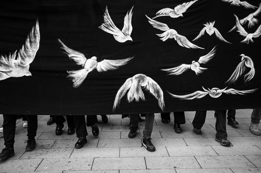 Pohvala u kategoriji Vest Mina Delic