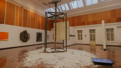 Prostorna instalacija Dusan Stipic Dudvarski Foto Tanja Drobnjak 4