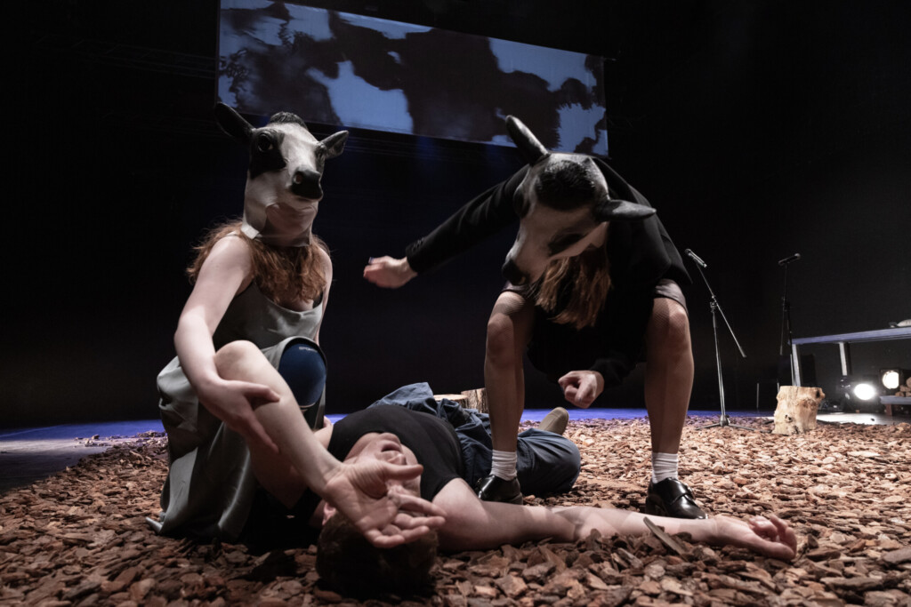 Prostor slobode govora 2 Things That Burn Easily foto Jelena Jankovic