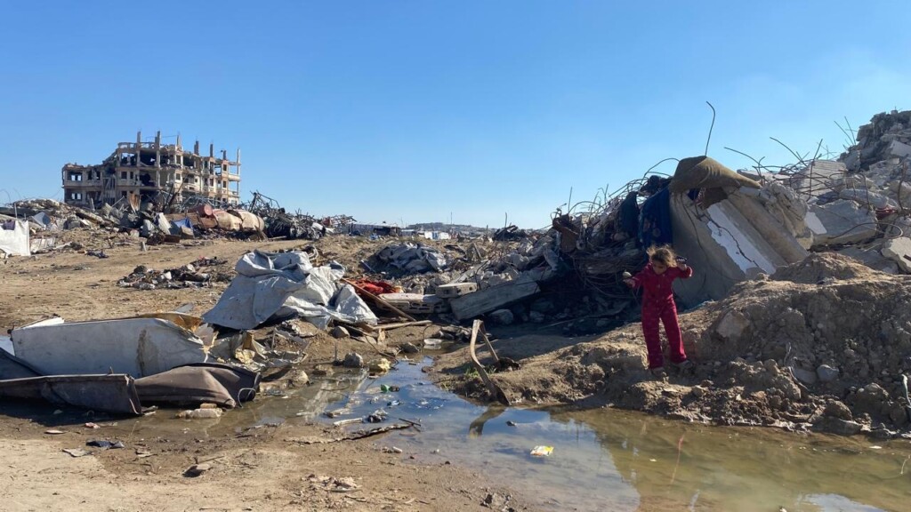 f5383472 9d6c 412d 8f3e bb4ae42ff11e