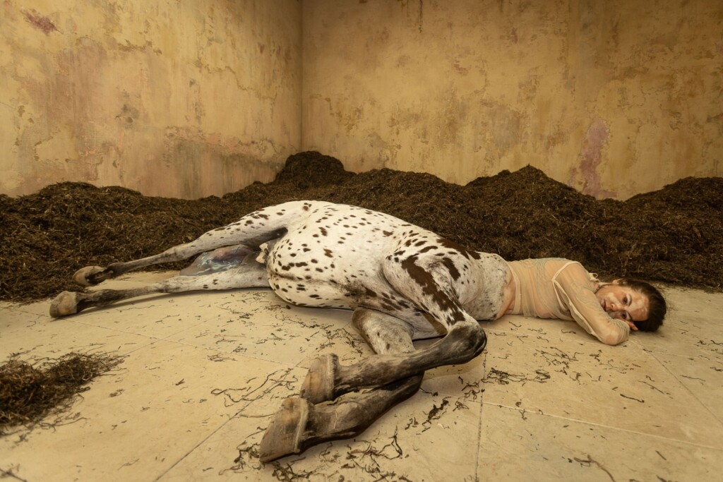 profimedia 0684908262