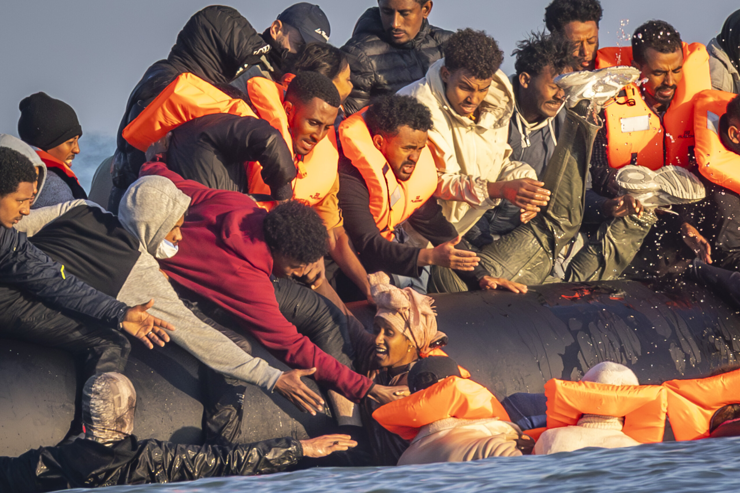 profimedia 1040956454