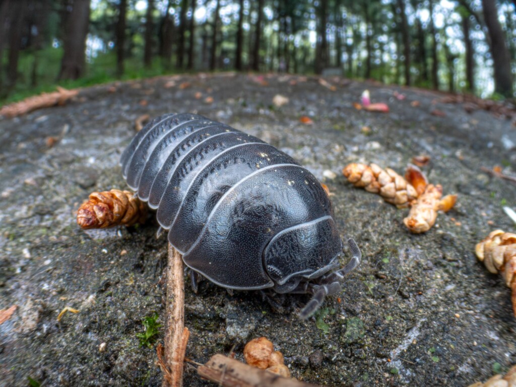 profimedia 1059731654