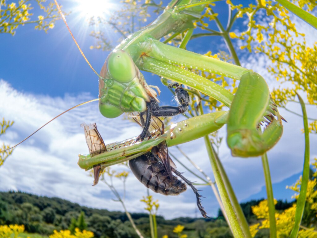 profimedia 1059731674