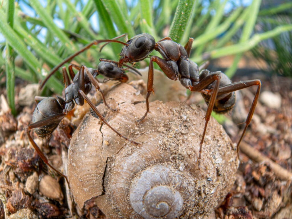 profimedia 1059731699