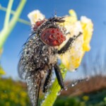 profimedia 1059731706