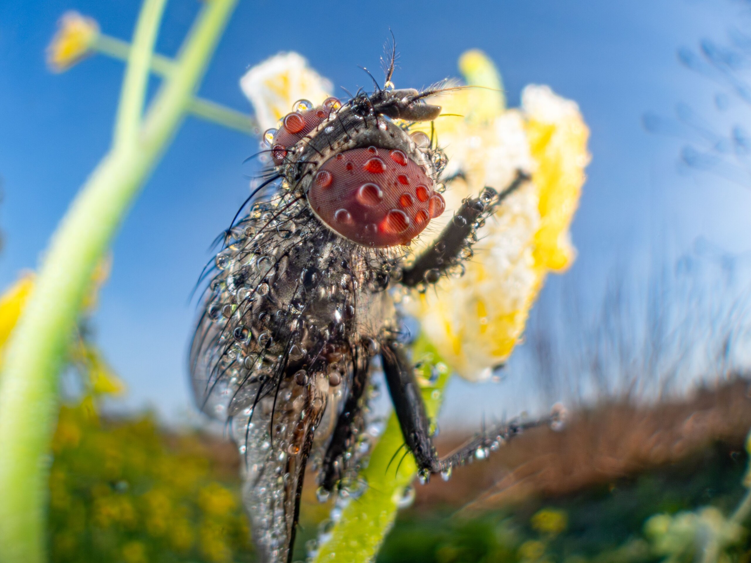 profimedia 1059731706