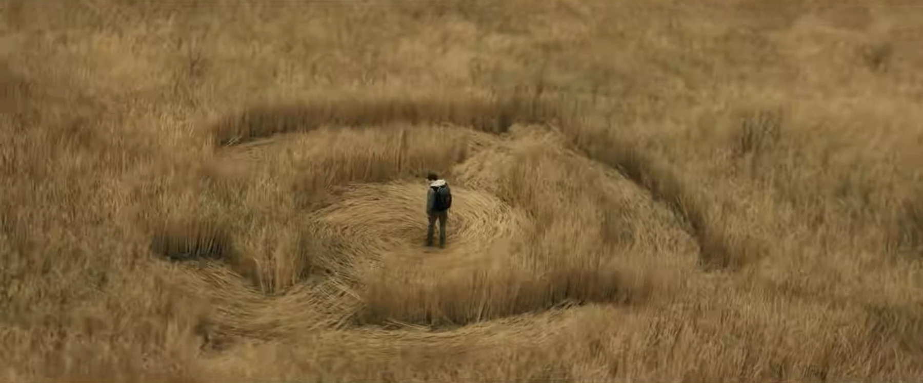 profimedia 1060294188