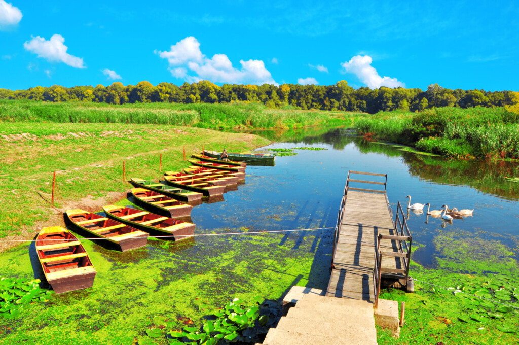 shutterstock 1764297587