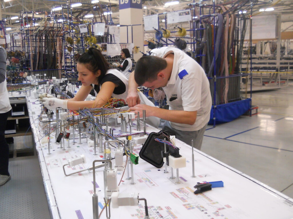 Fabrike snova na odloženo plaćanje 3 1698839493 Leoni u malosistu scaled 1