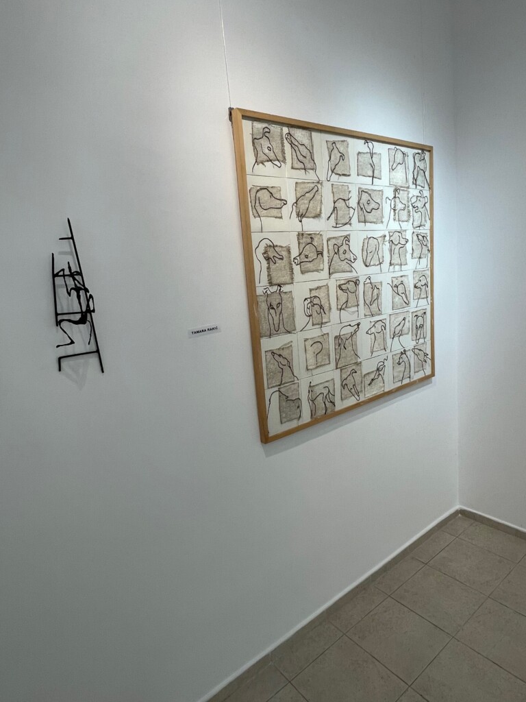 Na pršljenu kita 6 IMG 5056