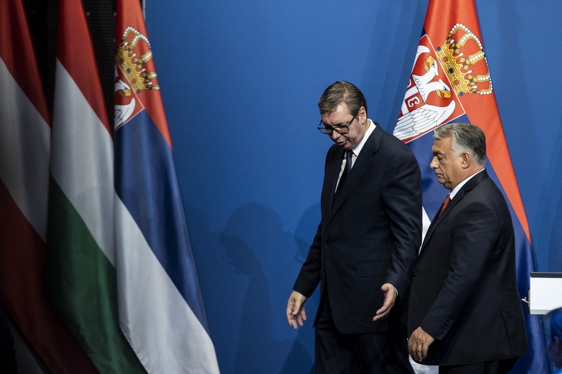 profimedia 0727771766