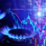 shutterstock 2193596875 copy