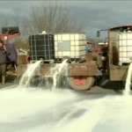 1770813205 Screenshot 5 o1CetXC.original