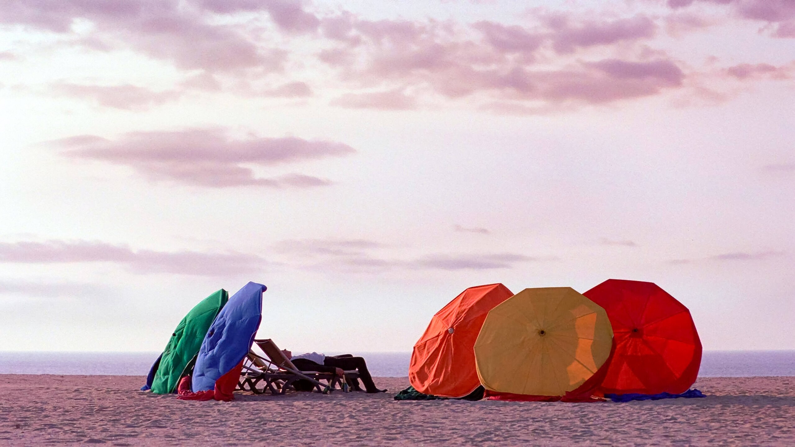 profimedia 1070116739