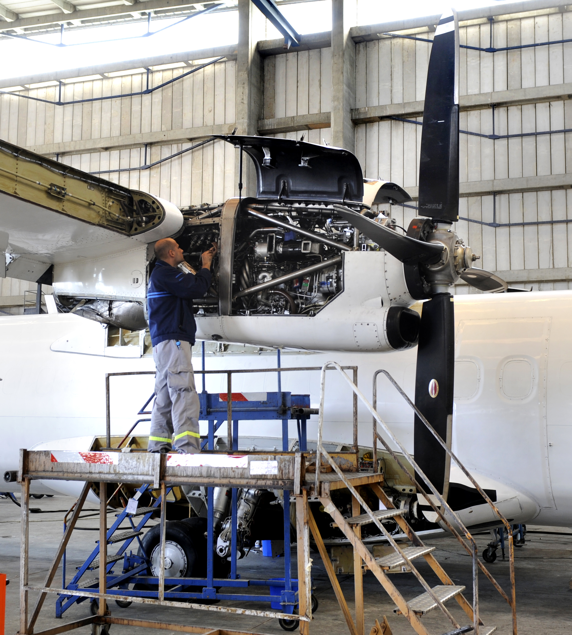 shutterstock 219807898