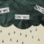 shutterstock 2459215105 copy