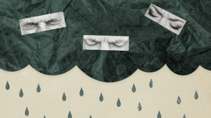 shutterstock 2459215105 copy