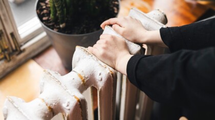 shutterstock 2672698117