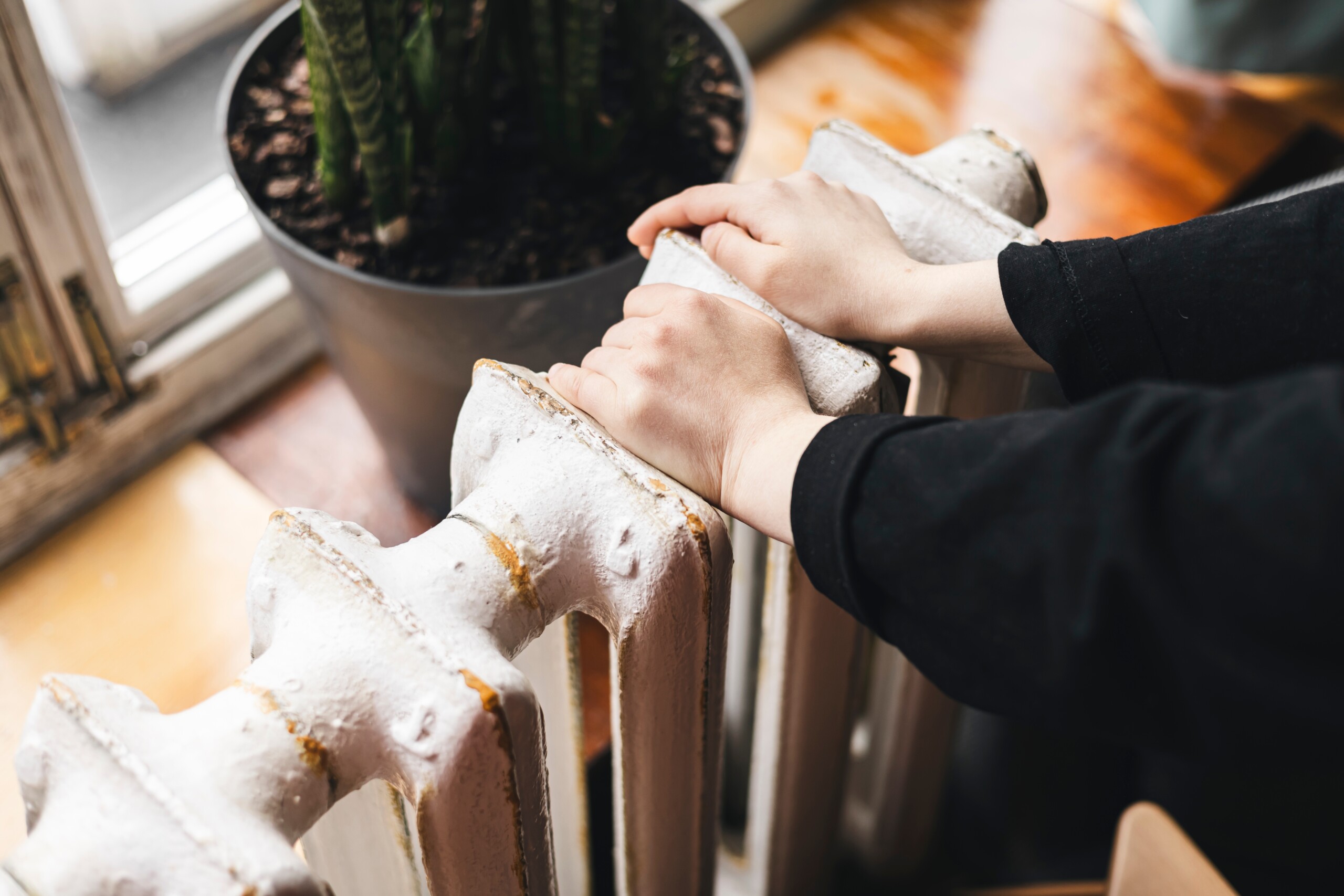 shutterstock 2672698117