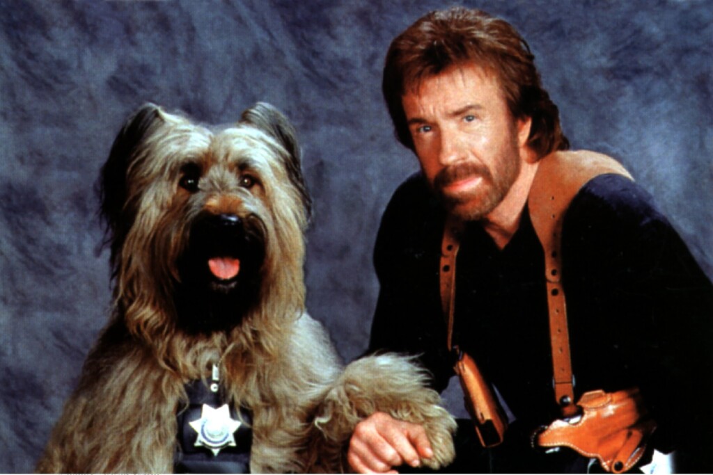 profimedia 0379631099