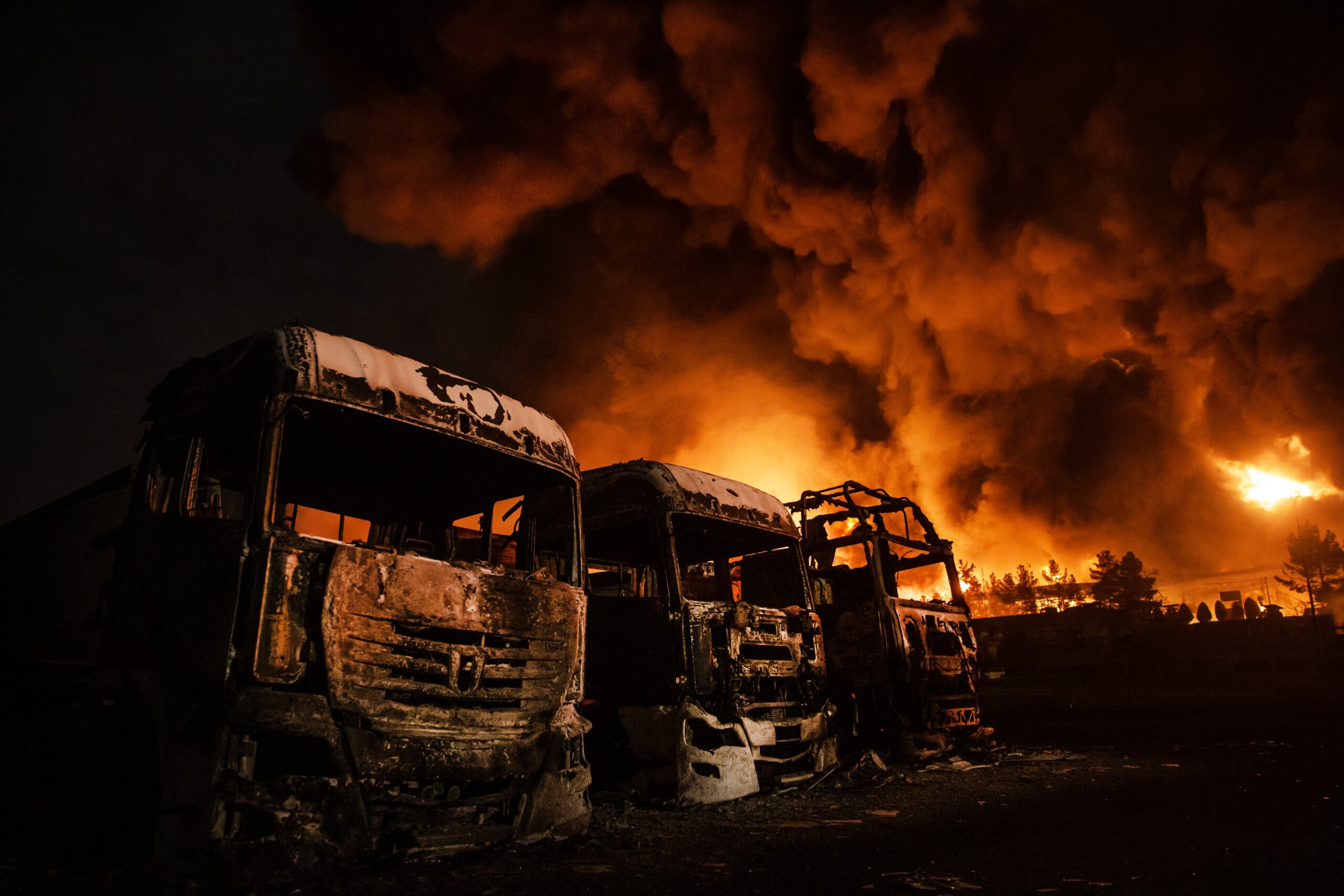 profimedia 1081147985