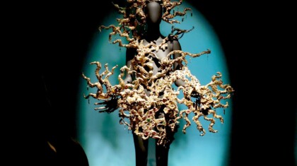 profimedia 1087562850