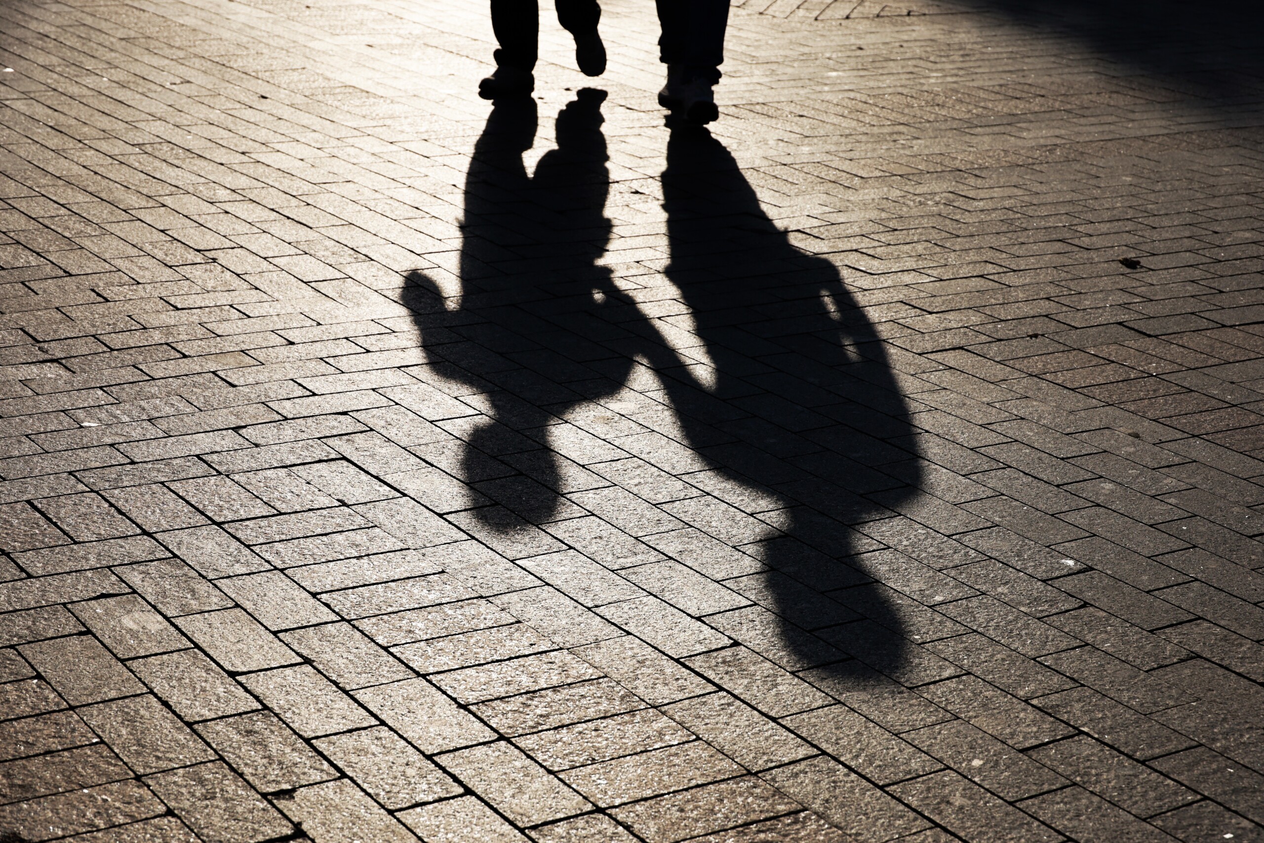 shutterstock 2527568211