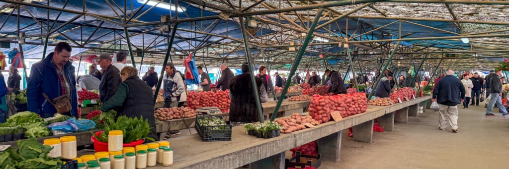 shutterstock 2614036971