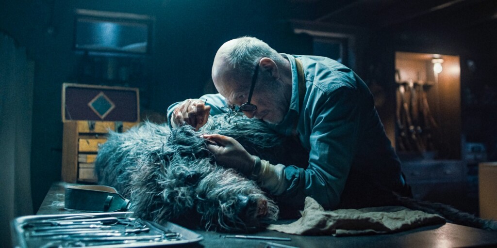 profimedia 1088387643