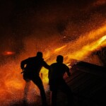 profimedia 1090366034