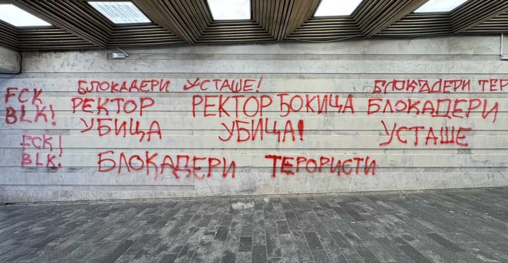 grafiti mrznje foto vladislav mitic 6